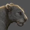 [Tigon] Dramatic light